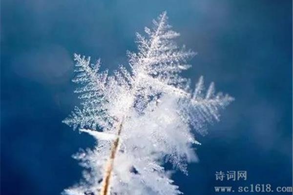 小雪的诗句