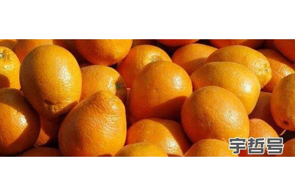 腹泻可以吃橙子吗