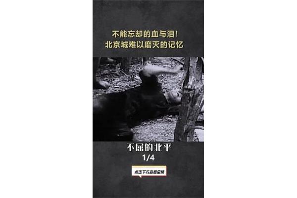 难以忘却的记忆