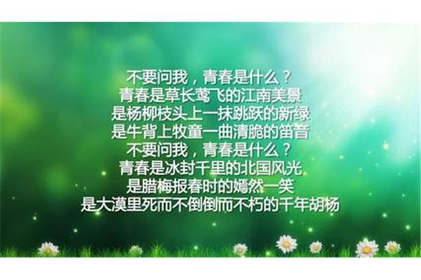 关于青春的诗
