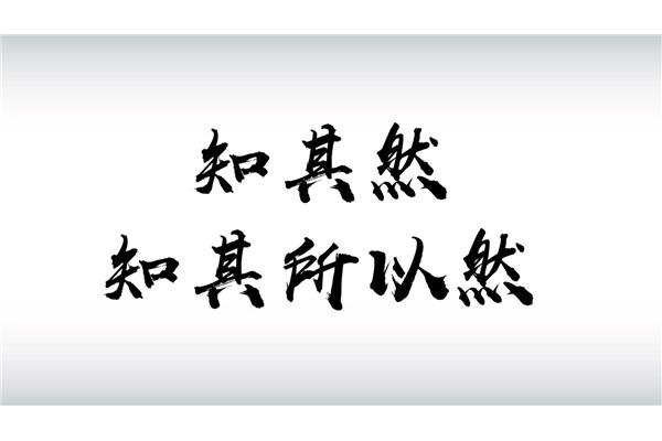 知其然知其所以然