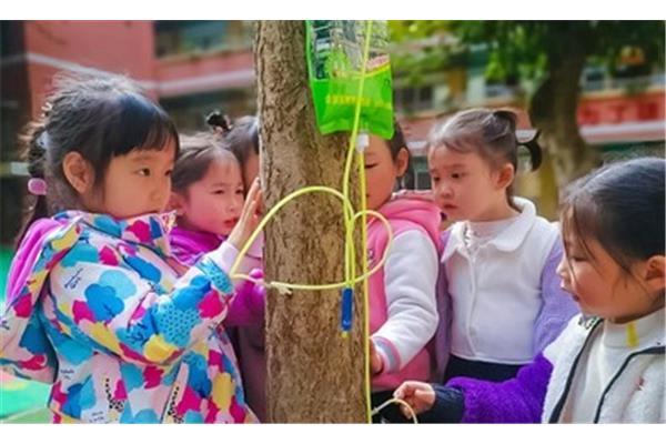 怎样保护大自然