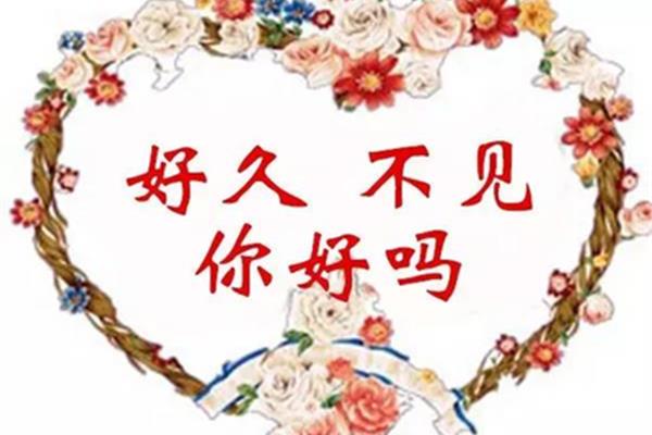 朋友好久不见