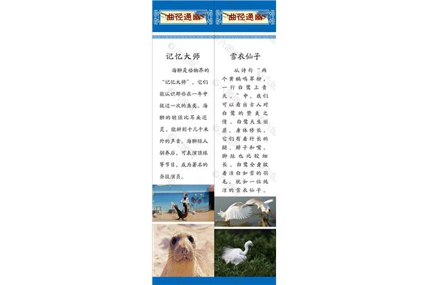 动物的诗句
