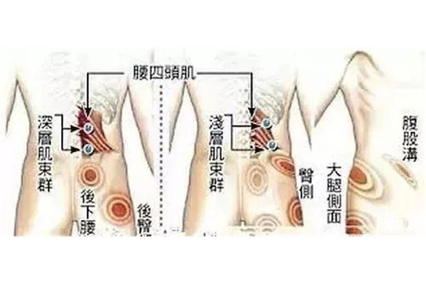 状物是什么意思