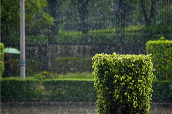 描写下雨天的句子