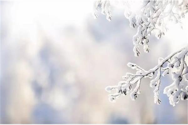 描写雪的诗句