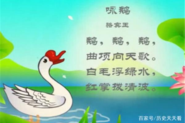 鹅鹅鹅的作者