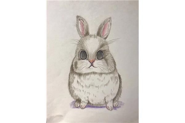 兔子绘画作品