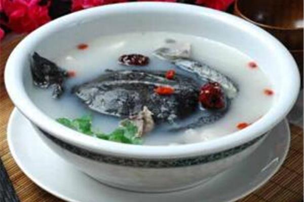 清炖甲鱼汤的做法