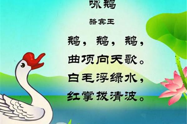 鹅鹅鹅的作者