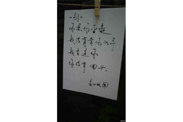 我最喜欢的一首诗
