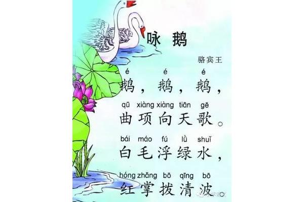 鹅鹅鹅的作者