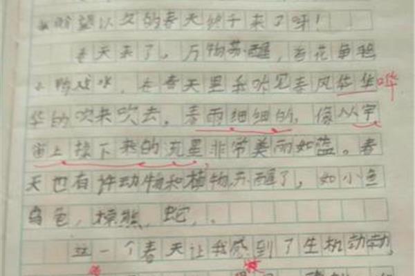 作文写什么