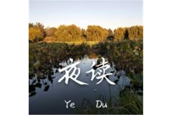 随波逐流近义词