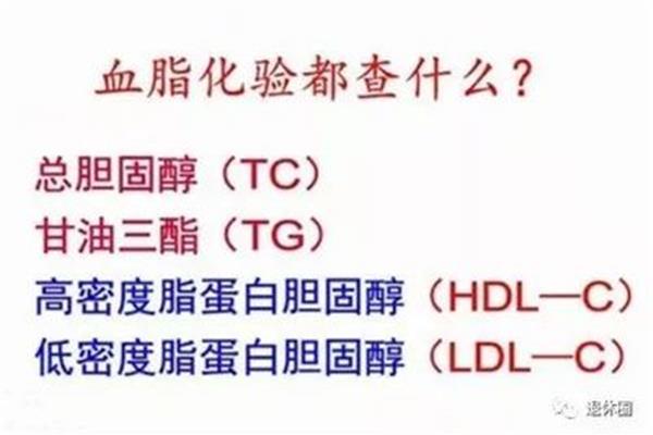 血脂要空腹查吗