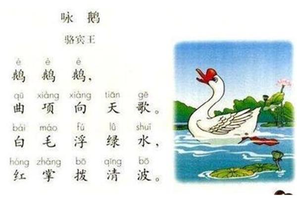 鹅鹅鹅的作者