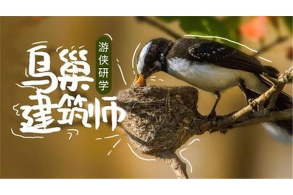 怎样保护大自然