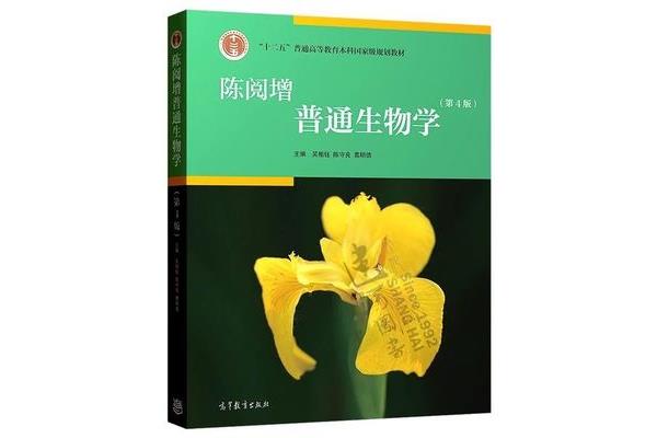 值得一看的书