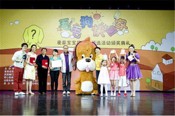 毛毛的故事