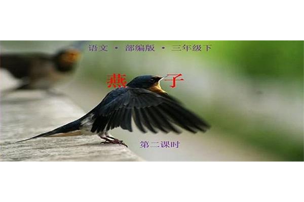 状物是什么意思
