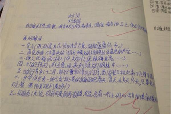 提纲格式图片