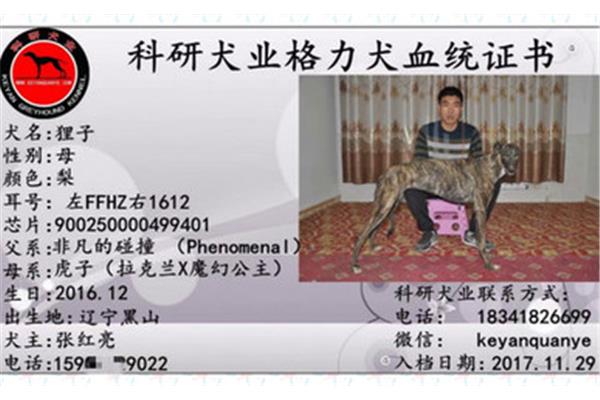 公交车上啪啪