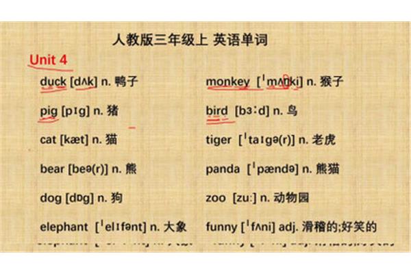 猴子的英语单词