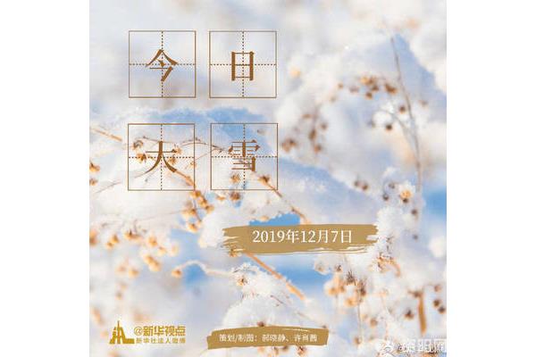 大雪纷纷何所似