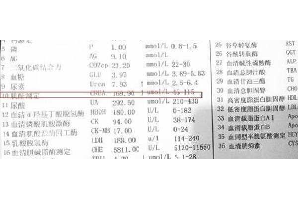 正常肌酐是多少