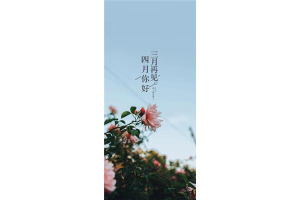 美好的每一天