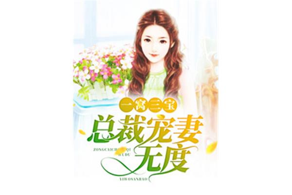小说排行榜言情