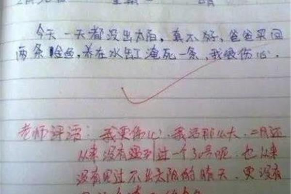 作文写什么