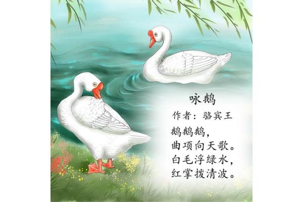 鹅鹅鹅的作者