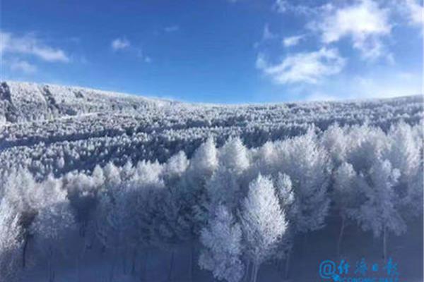 大雪纷纷何所似