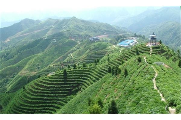 茶山风景区