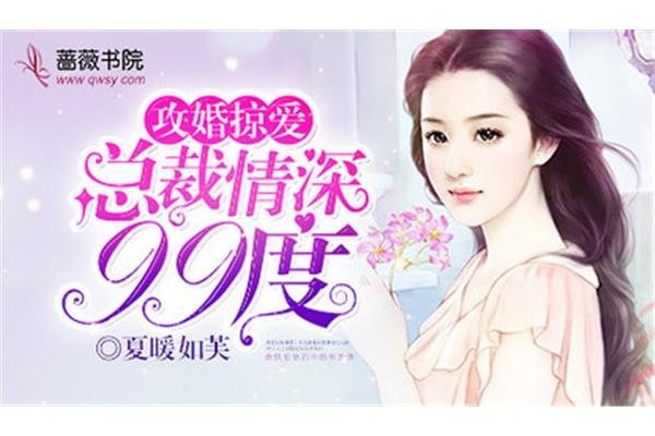 小说排行榜言情