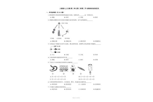 动物的结构层次