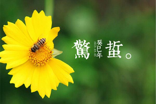 动物的诗句