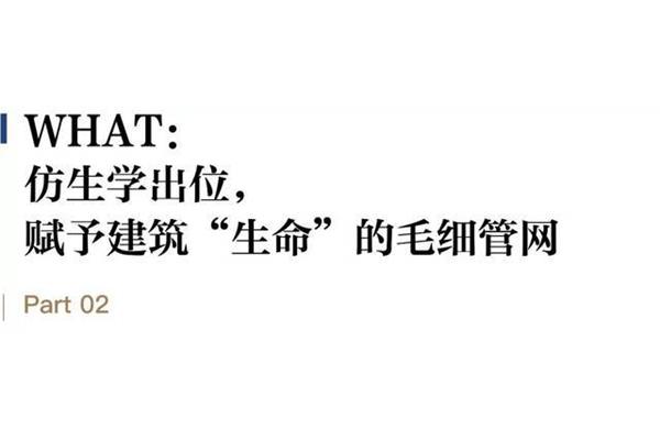 知其然知其所以然
