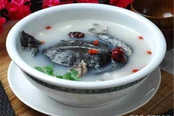 清炖甲鱼汤的做法
