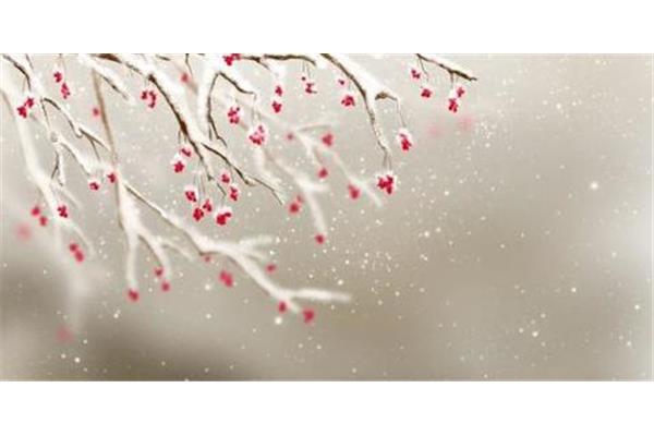 描写雪的诗句