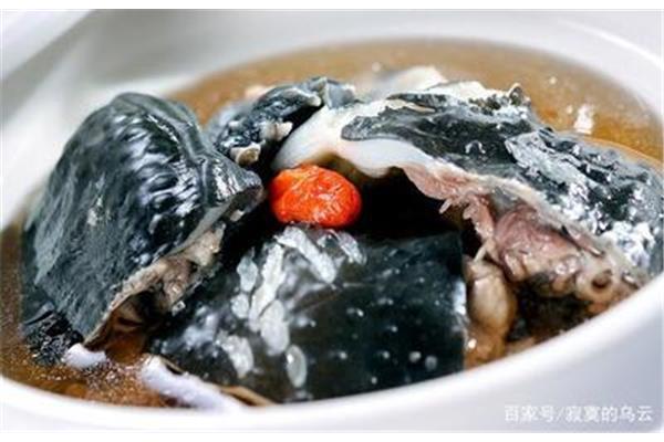 清炖甲鱼汤的做法