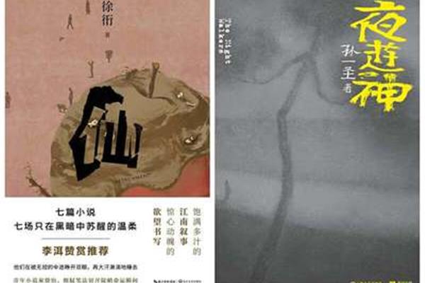 毛毛的故事