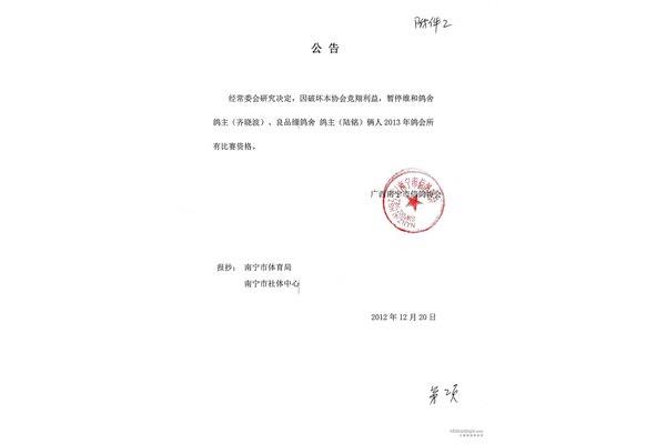 说明的格式