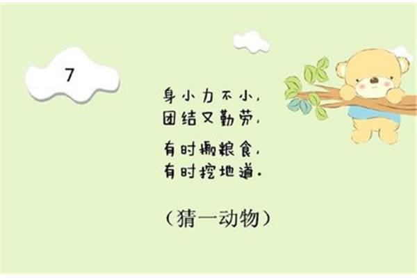猜动物谜语儿童