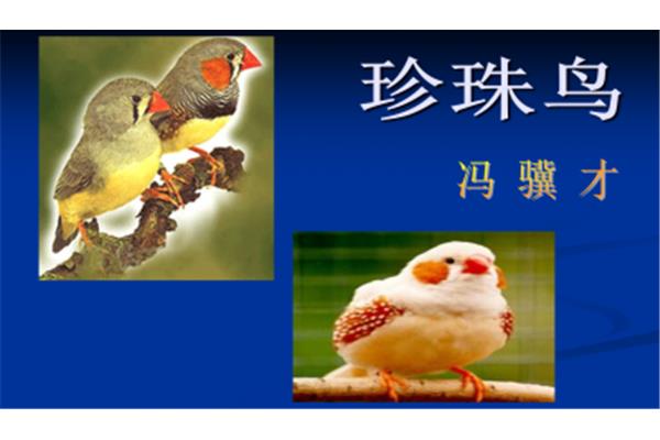 动物的诗句