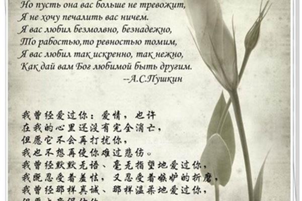 我最喜欢的一首诗