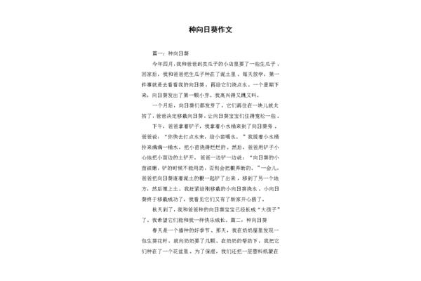 向日葵的作文