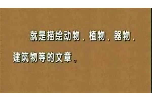 状物是什么意思